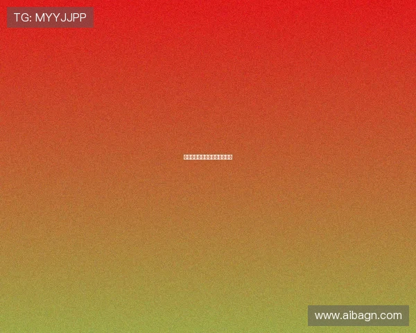 伊尔迪兹续约在即核心条款敲定